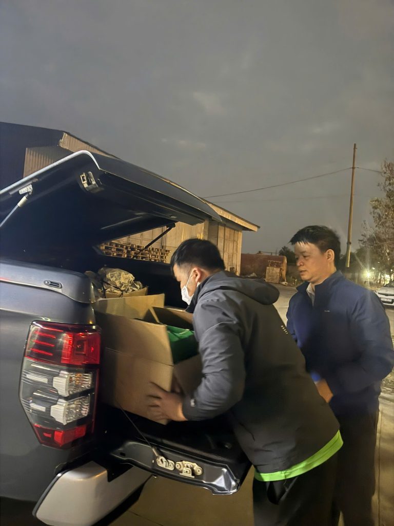 Bí quyết chọn lá đinh lăng gói nem chua đúng chuẩn Thanh Hóa